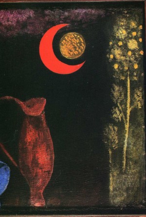 Cat staring at the moon
